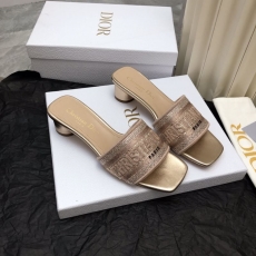 Christian Dior Slippers